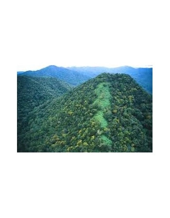 Colônia Hydra Forever Baby 450ml