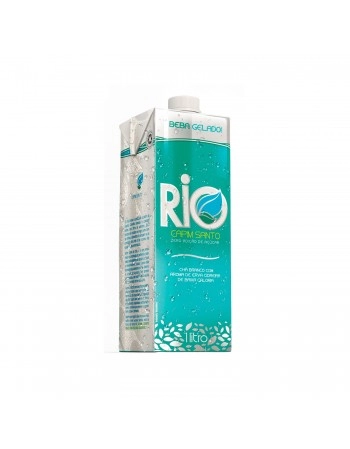 DOCE DE LEITE BISNAGA 1,01 KG (SEM AMIDO ) - BOM PRINCIPIO