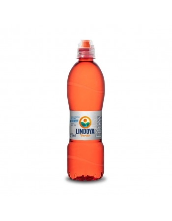 GIN ETERNITY PESSEGO E FRAMBOESA 900ML